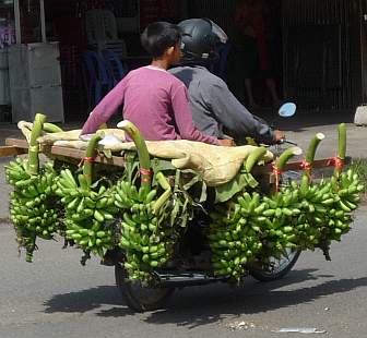 Bananas on motorcycle
